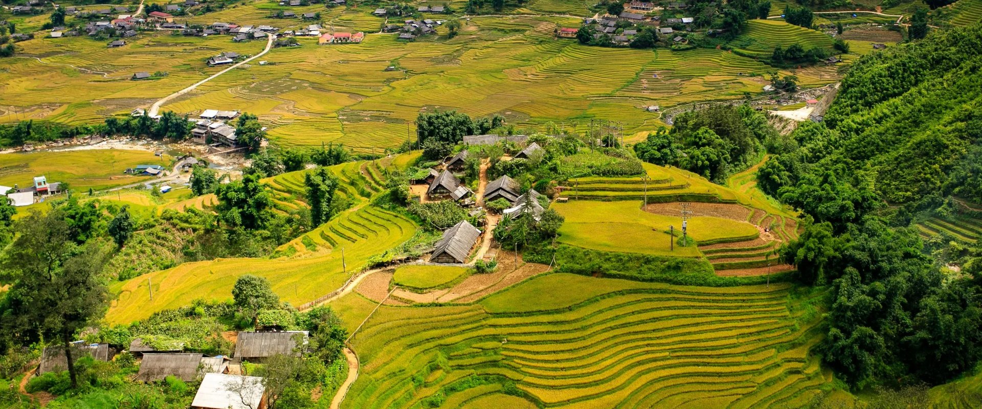 Sapa