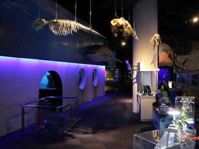 Aquaria KLCC