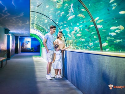 VinKE & Vinpearl Aquarium
