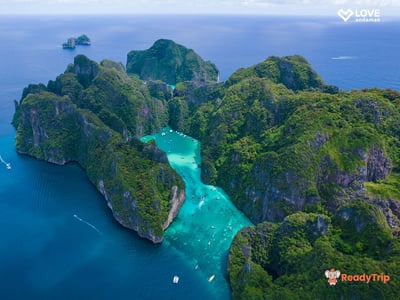 Day Trip Phi Phi and Bamboo - INCLUDE SHARE TRANSFER