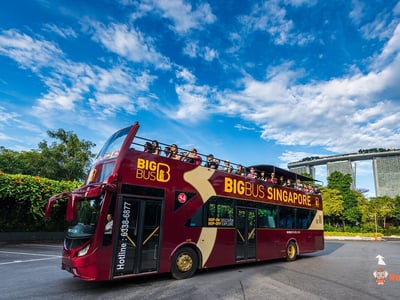 Go City: Singapore All-Inclusive Pass