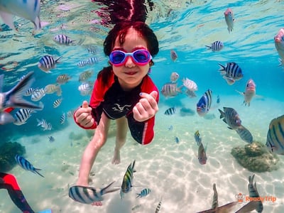 Pattaya Island Tour European Beach Experience (Koh Larn)