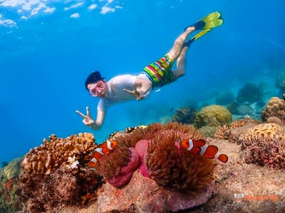 Pattaya Island Tour European Beach Experience (Koh Larn)