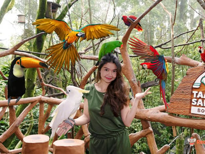 Taman Safari Indonesia Bogor