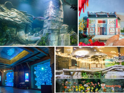 Lotte World Aquarium Hanoi Ticket