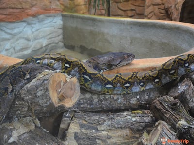Langkawi WildLife Park
