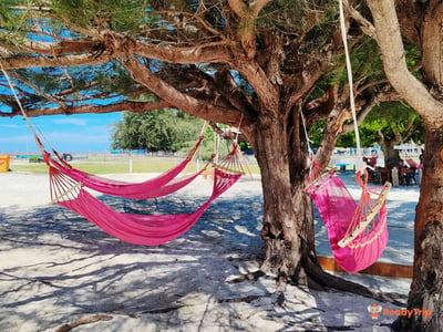 Mantanani Island Snorkeling Day Trip / Manta Combo Trip