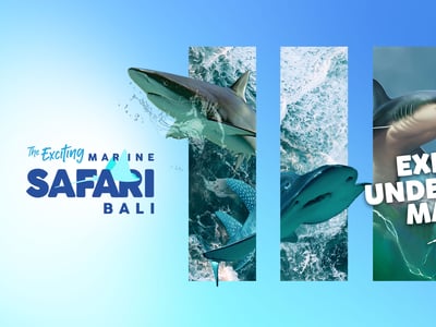 Marine Safari Bali (Oversea)