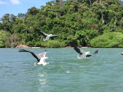 Mangrove Kayaking Budget Package