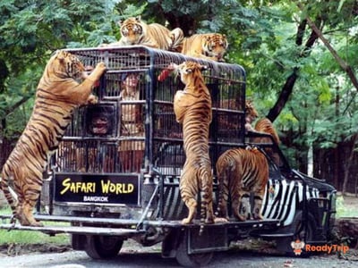 Safari World Bangkok Include Private Transfer. (Major Area in Bangkok and Extra Area in Bangkok)