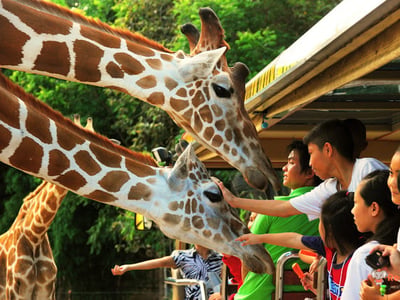 Safari World Bangkok Include Private Transfer. (Major Area in Bangkok and Extra Area in Bangkok)