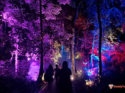 Dream Forest Langkawi