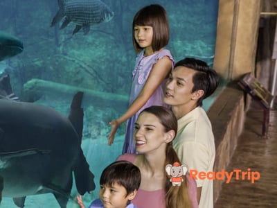 River Wonders
