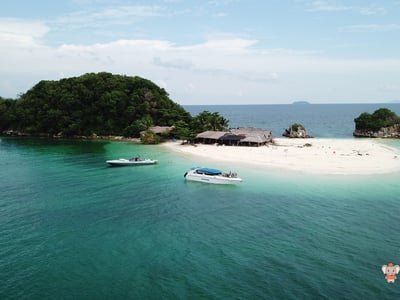 Phi Phi Island Day Trip Speedboat Tour include Transfer
