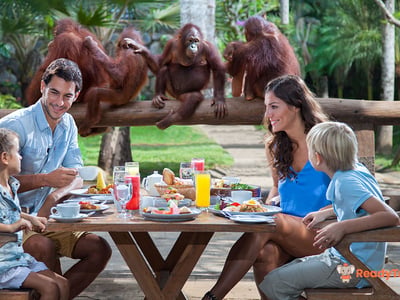 Ticket Bali Zoo