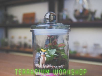 Terrarium Workshop