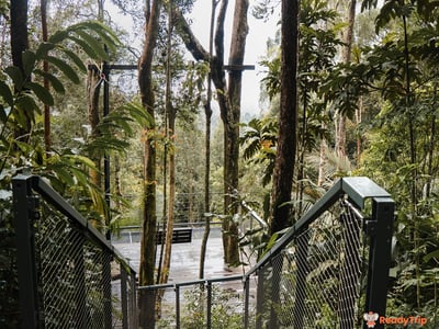 Penang Habitat