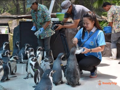 Khao Kheow Open Zoo Pattaya