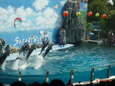 Safari World Bangkok Ticket
