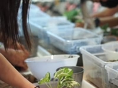 Kokedama Workshop